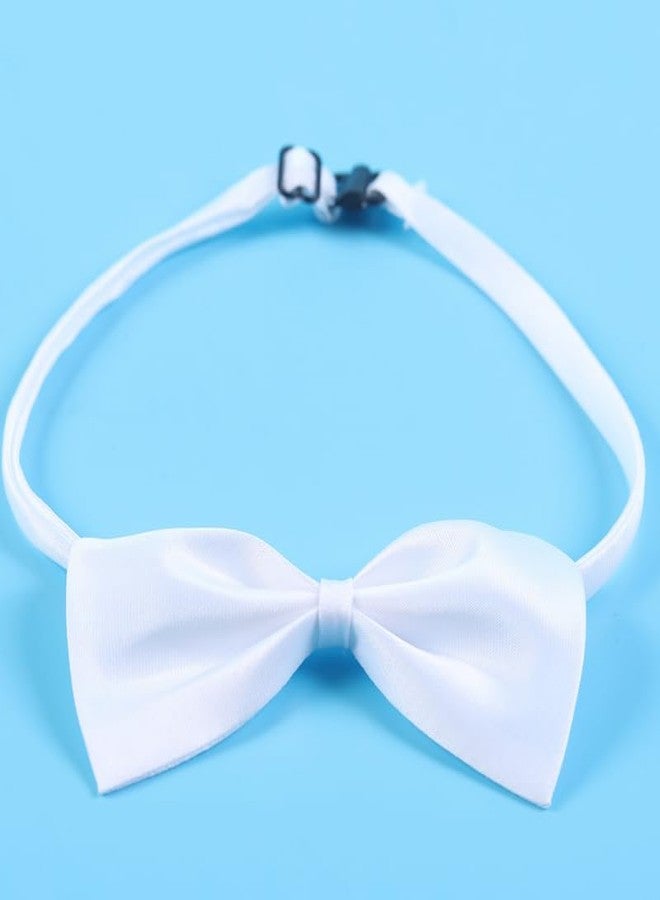BohoBark Cat Necktie Collar for Kitten Cat Collars 10mm White - Image 1